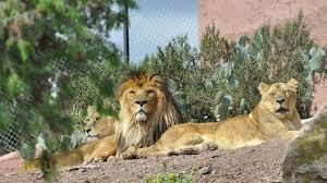 Parc Zoologique de Frejus